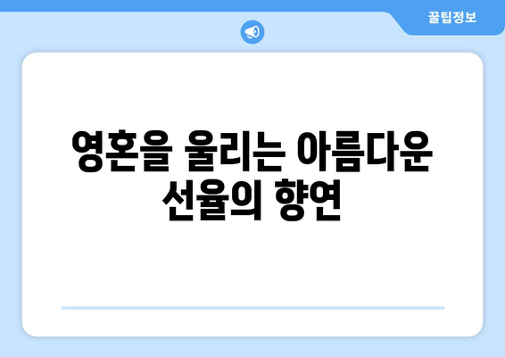 영락교회 찬란한 성가대| 영혼을 감동시키는 음악의 향연 | 서울, 영락교회, 성가대, 감동, 음악, 연주