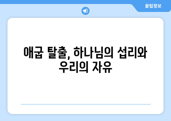 무교절, 하나님의 구원과 섭리를 기억하는 시간 | 신앙, 기념, 의미, 예수 그리스도