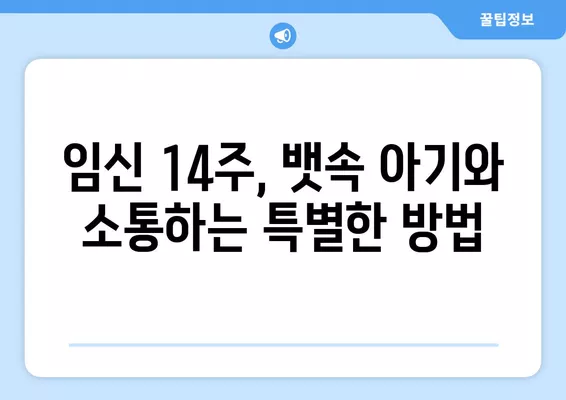 임신 14주, 아이에게 고맙다 소리 들을 수 있는 특별한 방법 | 태교,  임신 14주 증상, 뱃속 아기와 소통