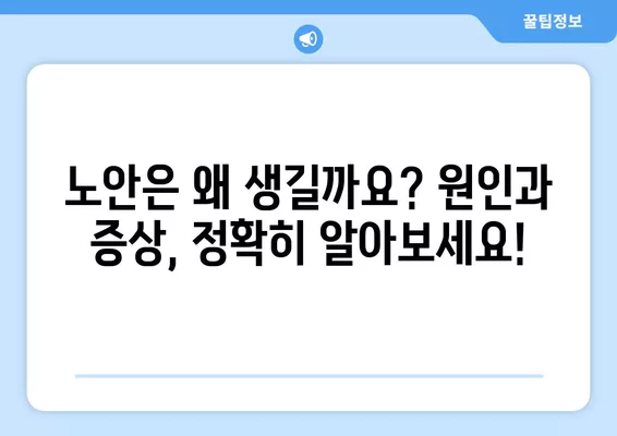 노안, 근시, 원시, 난시| 혼란스러운 시력 문제, 명확하게 정리해 드립니다! | 노안 원인, 증상, 차이점, 시력 교정