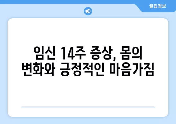 임신 14주, 아이에게 고맙다 소리 들을 수 있는 특별한 방법 | 태교,  임신 14주 증상, 뱃속 아기와 소통