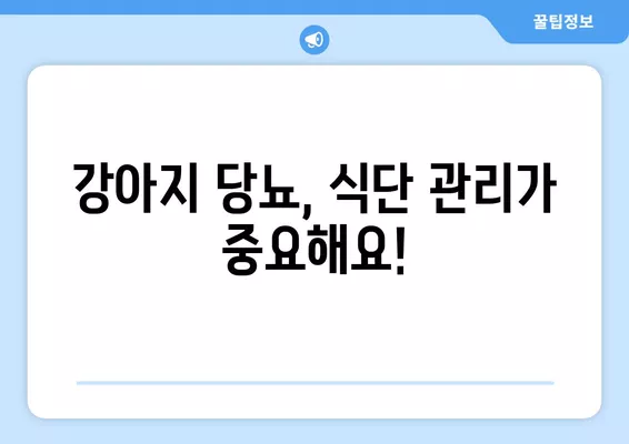 강아지 당뇨, 초기 증상부터 관리까지| 알아두면 도움되는 모든 것 | 당뇨병, 관리법, 예방, 식단