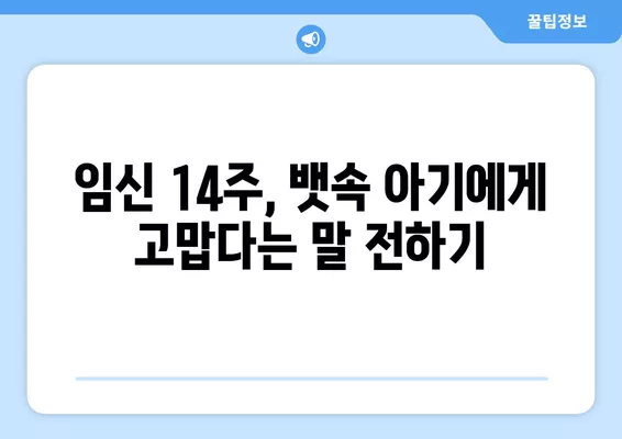 임신 14주, 아이에게 고맙다 소리 들을 수 있는 특별한 방법 | 태교,  임신 14주 증상, 뱃속 아기와 소통