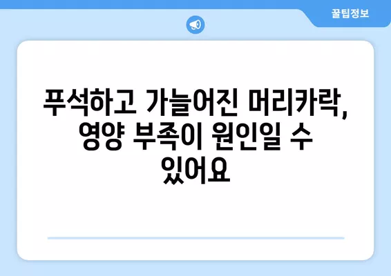 푸석하고 자주 빠지는 머리카락, 확산성 탈모? 영양제 추천 & 관리 가이드 | 탈모 영양제, 탈모 관리, 모발 건강