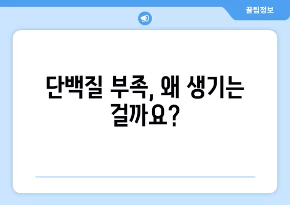 단백질 부족, 증상과 원인 그리고 예방법 완벽 가이드 | 건강, 영양, 식단