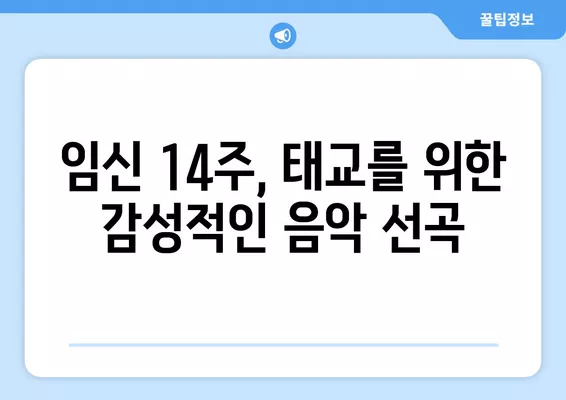 임신 14주, 아이에게 고맙다 소리 들을 수 있는 특별한 방법 | 태교,  임신 14주 증상, 뱃속 아기와 소통