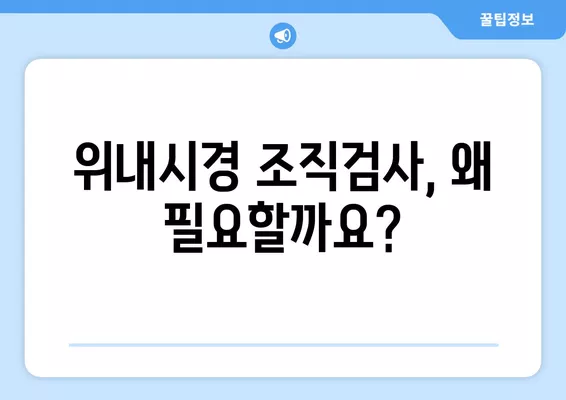 위내시경 조직검사 완벽 가이드| 준비부터 회복까지 | 위내시경, 조직검사, 주의사항, 검사 과정, 회복 팁