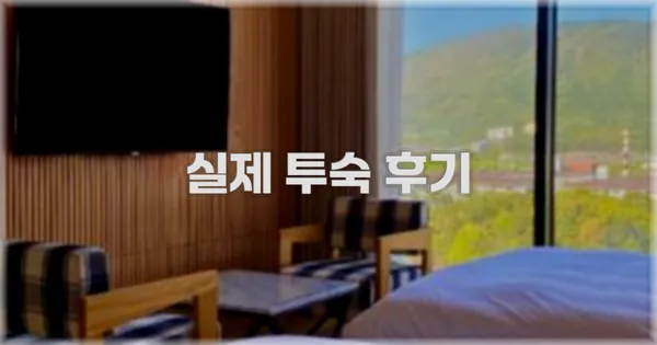 💬 실제 투숙 후기